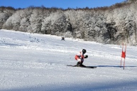 Vedmezha та Polianski, слалом-гігант, індивідуальний та сімейний заліки, 28-30 січня 2022 8
