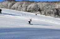 Vedmezha та Polianski, слалом-гігант, індивідуальний та сімейний заліки, 28-30 січня 2022 9