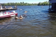 Тріатлон з УГК! 10.06.2017 34